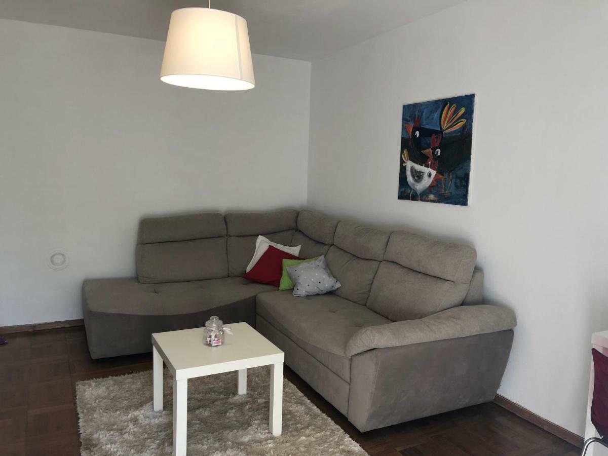 Apartment Safran Novigrad Istria Eksteriør billede